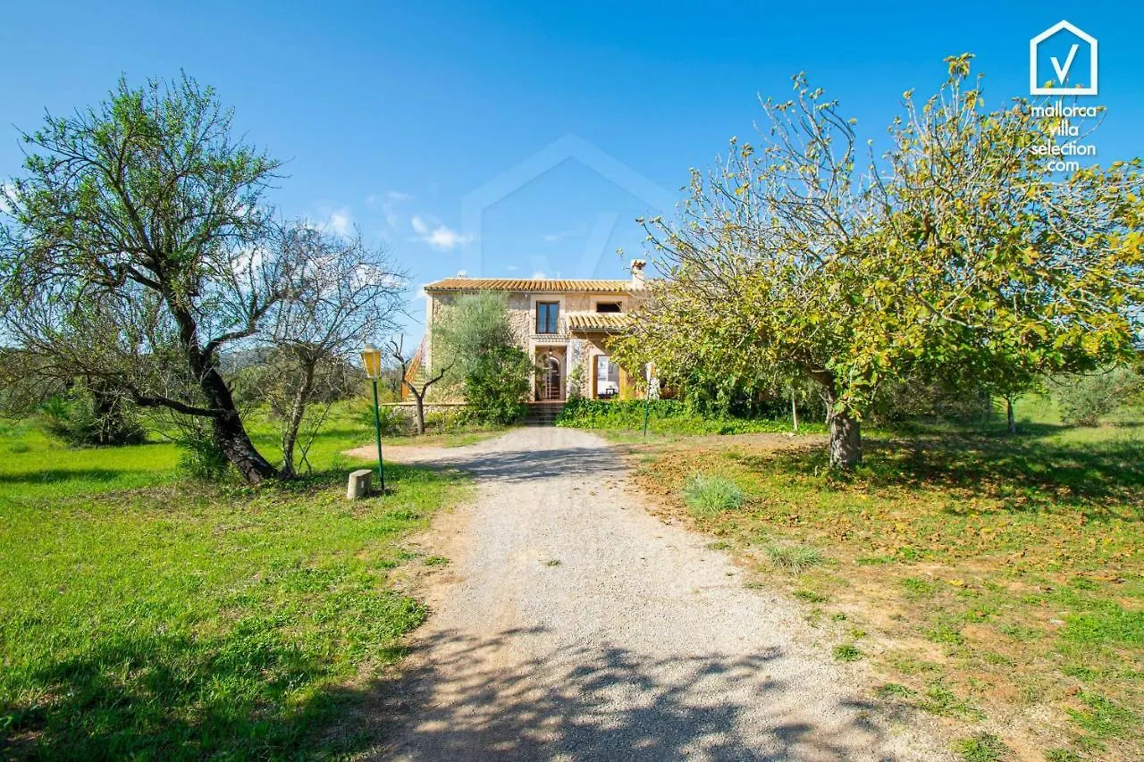 Finca Son Tresco Villa Buger